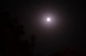 DSC_9382.jpg - 
